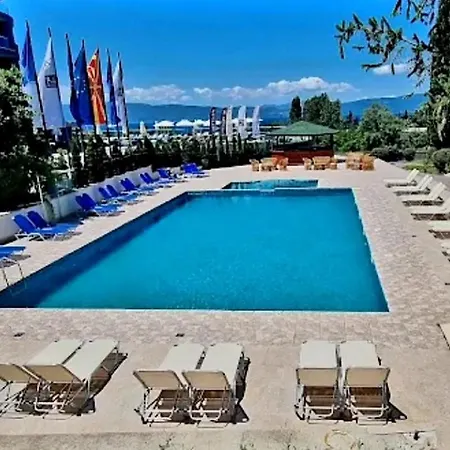 Bluebell Ohrid